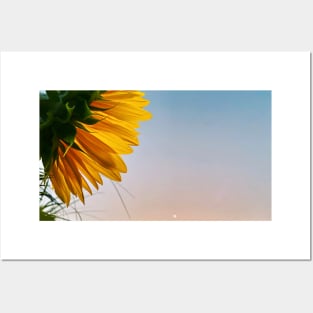 Sunflower and Moon - photograph by Margo Humphries Posters and Art